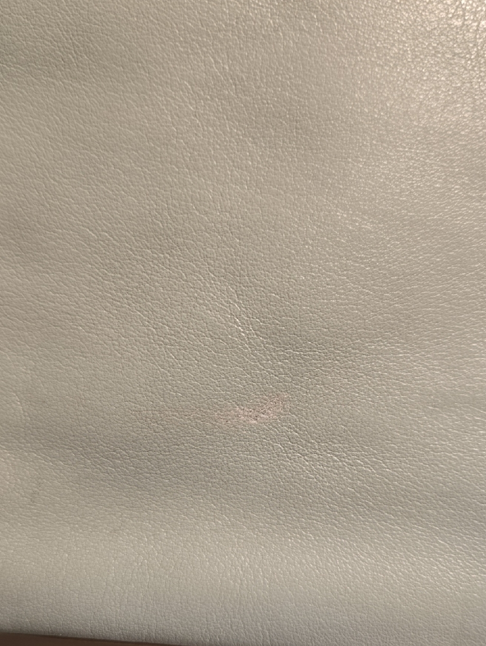 COACH Two-Tone Leather Wristlet- Blue, Green and Tan - Picture 11 of 11